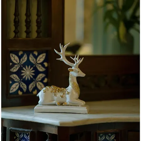 Luxury Heritage Umaid 3Bhk Apartment Jodhpur Jodhpur  Exterior photo